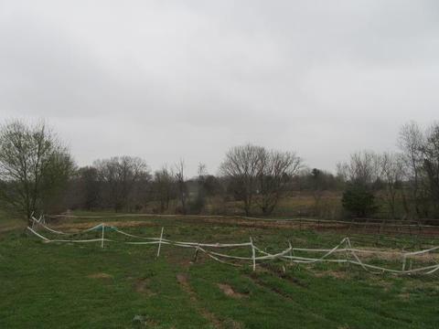 6210 Lakeview Rd, Springfield, TN 37172 photo 19