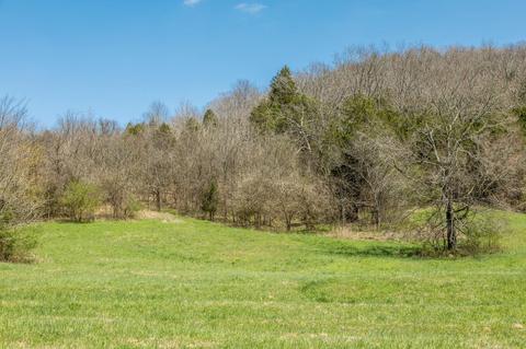 369 Wolf Hill Rd, Bethpage, TN 37022 photo 30