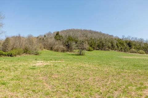 369 Wolf Hill Rd, Bethpage, TN 37022 photo 29