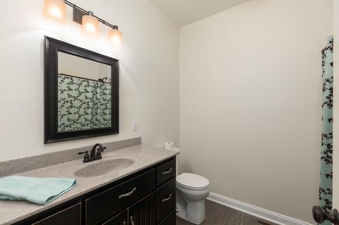 369 Wolf Hill Rd, Bethpage, TN 37022 photo 20