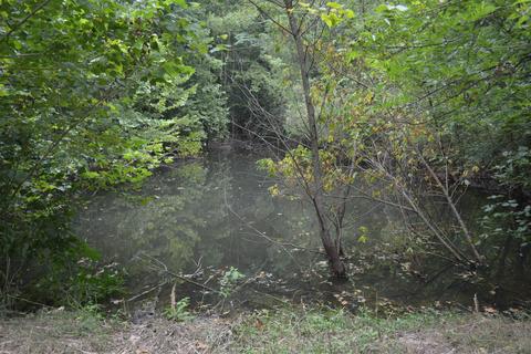 591 Will Bell Rd, Dickson, TN 37055 photo 9