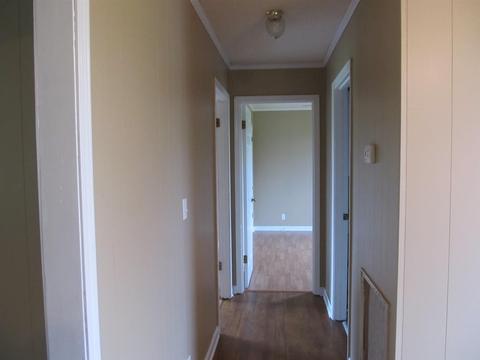 5452 Marion Rd, Cunningham, TN 37052 photo 8