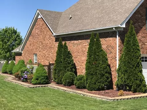3605 Ashworth Ct, Spring Hill, TN 37174 photo 2