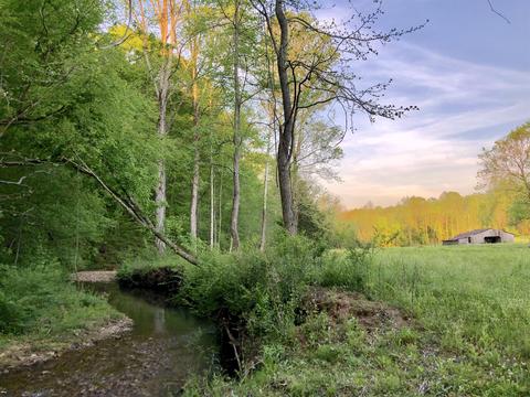 141 New Hope Rd, Five Points, TN 38457 photo 29