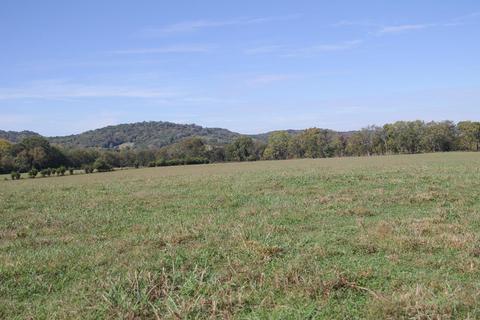 2435 Allisona Rd, Eagleville, TN 37060 photo 7