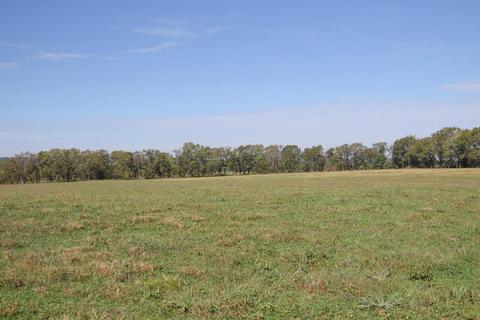 2435 Allisona Rd, Eagleville, TN 37060 photo 8