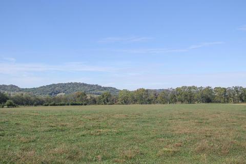 2435 Allisona Rd, Eagleville, TN 37060 photo 5