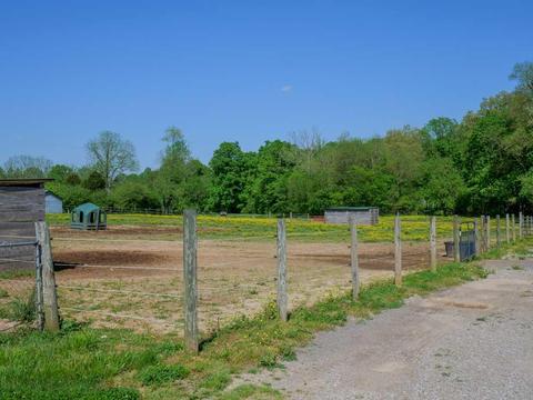 3676 Armstrong Rd, Springfield, TN 37172 photo 21