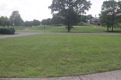 502 Scramblers Pt, Springfield, TN 37172 photo 1