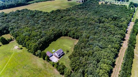 41 Pepper Rd, Taft, TN 38488 photo 26