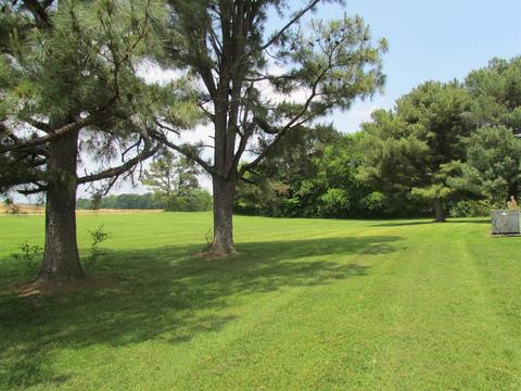6017 Rock Rd, Morrison, TN 37357 photo 12