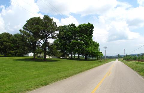 6017 Rock Rd, Morrison, TN 37357 photo 3