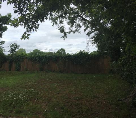 927 Leaf Ave, Murfreesboro, TN 37130 photo 5