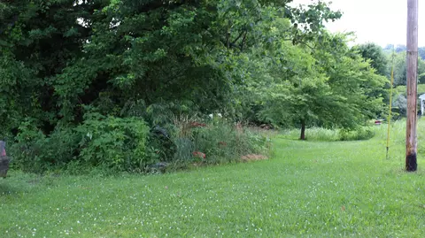 3676 Dobbin Rd, Springfield, TN 37172 photo 2