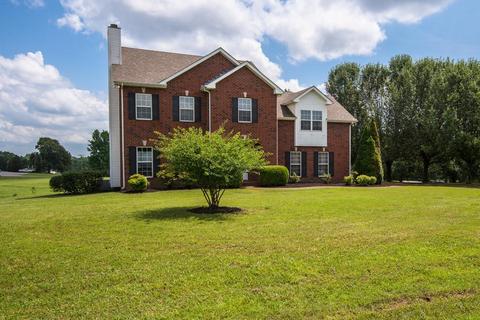 100 Meadowood Loop, Burns, TN 37029 photo 29