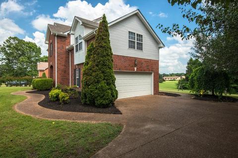 100 Meadowood Loop, Burns, TN 37029 photo 7