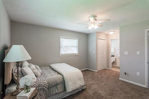 505 Blackpatch Dr, Springfield, TN 37172 photo 25