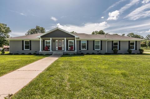 505 Blackpatch Dr, Springfield, TN 37172 photo 1