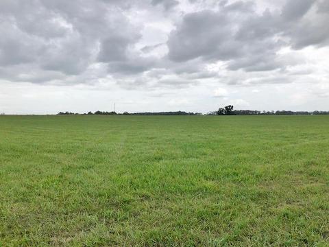 4074 Shady Grove Rd, Morrison, TN 37357 photo 25