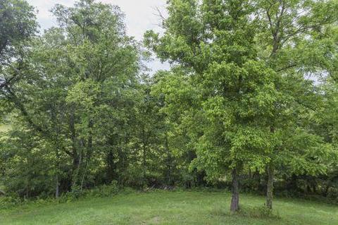 7501 E Plunders Creek Rd, Dickson, TN 37055 photo 12