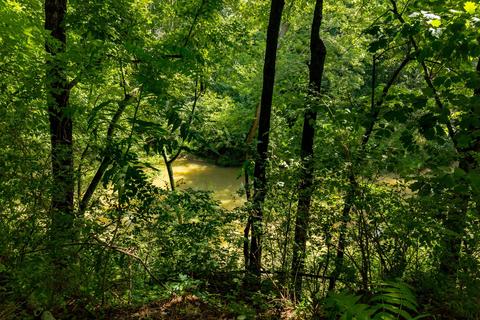 8305 Highway 49e, Springfield, TN 37172 photo 30