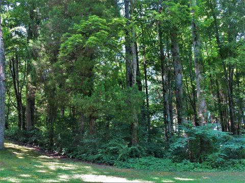 8965 Fox Hill Rd, Baxter, TN 38544 photo 30