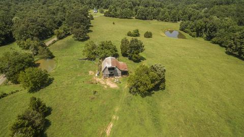 1058 Collins Rd, Vanleer, TN 37181 photo 24