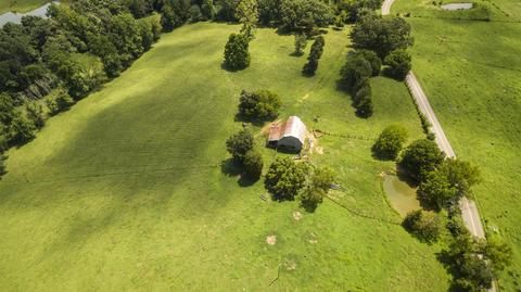 1058 Collins Rd, Vanleer, TN 37181 photo 13