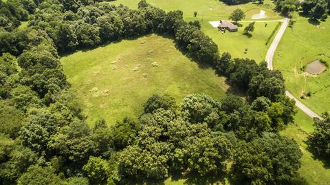 1058 Collins Rd, Vanleer, TN 37181 photo 15