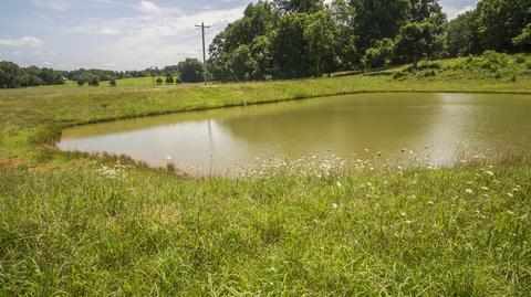 1058 Collins Rd, Vanleer, TN 37181 photo 28