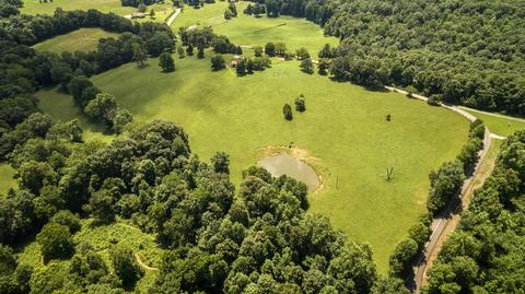 1058 Collins Rd, Vanleer, TN 37181 photo 11