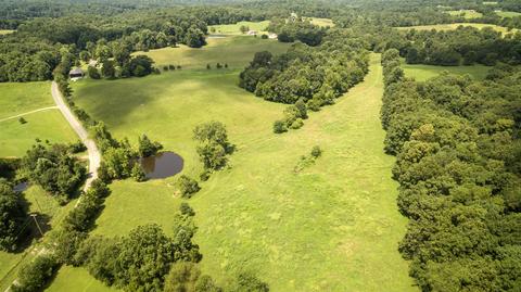 1058 Collins Rd, Vanleer, TN 37181 photo 5