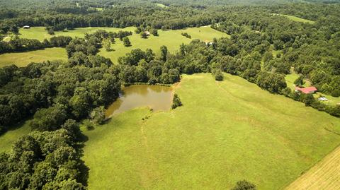 1058 Collins Rd, Vanleer, TN 37181 photo 9