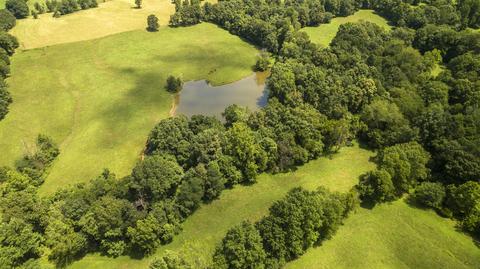 1058 Collins Rd, Vanleer, TN 37181 photo 14