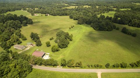 1058 Collins Rd, Vanleer, TN 37181 photo 3