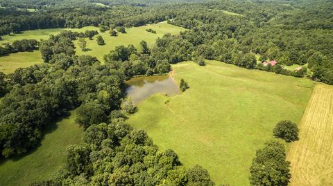 1058 Collins Rd, Vanleer, TN 37181 photo 8