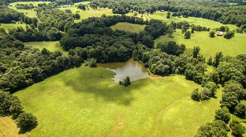 1058 Collins Rd, Vanleer, TN 37181 photo 10