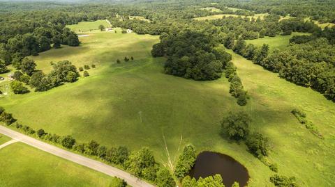 1058 Collins Rd, Vanleer, TN 37181 photo 4