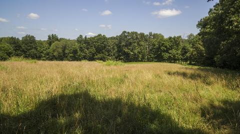 1058 Collins Rd, Vanleer, TN 37181 photo 26