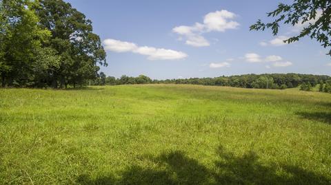 1058 Collins Rd, Vanleer, TN 37181 photo 29
