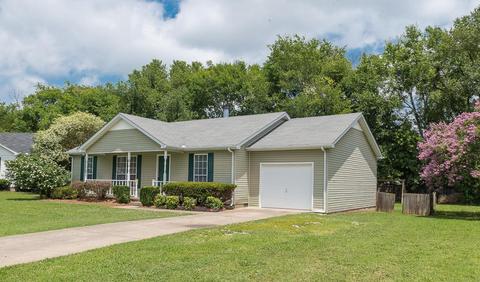 1214 Falling Tree Ct, Murfreesboro, TN 37130 photo 28