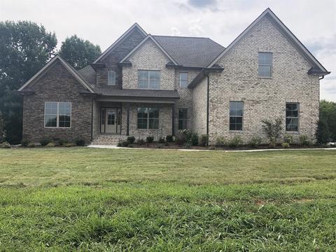147 Tom Walker Dr, Beechgrove, TN 37018 photo 1