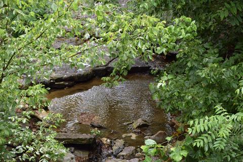 6947 Old Mill Rd, Baxter, TN 38544 photo 8