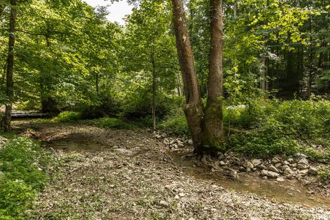 1279 Rogues Fork Rd, Bethpage, TN 37022 photo 10