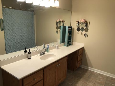 246 Elder Dr, Springfield, TN 37172 photo 15