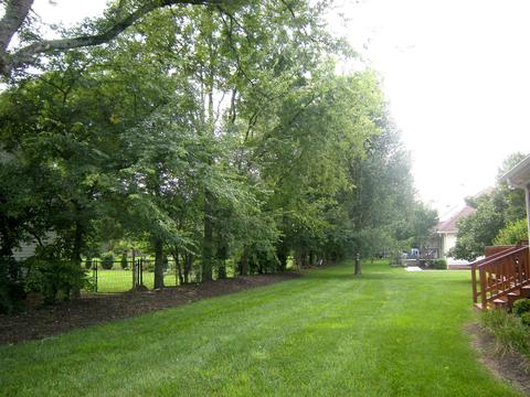 3003 Overhill Ct, Murfreesboro, TN 37130 photo 20