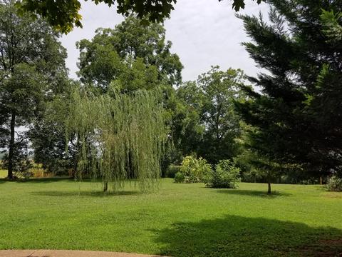292 High St, Morrison, TN 37357 photo 19