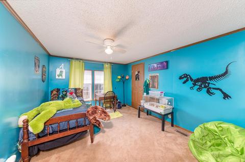 6345 Roy Pearson Rd, Springfield, TN 37172 photo 19