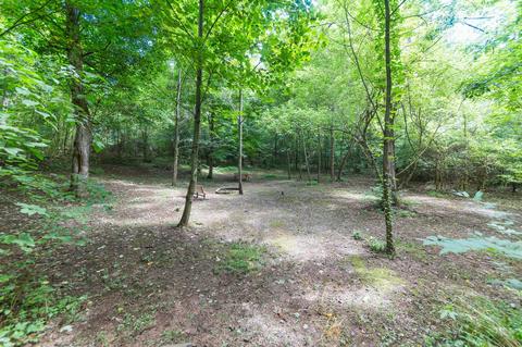 6345 Roy Pearson Rd, Springfield, TN 37172 photo 29