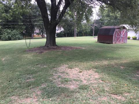205 Alsup Dr, Springfield, TN 37172 photo 11